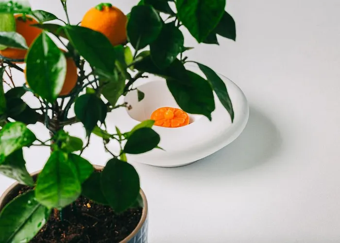 Bela Vista & - Relais & Chateaux (adults Only) Szálloda