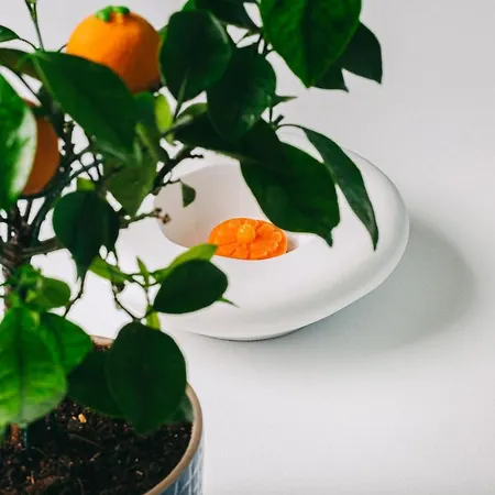 Bela Vista & - Relais & Chateaux (adults Only) Ξενοδοχείο